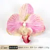 Tocado de Cabeza Artificial de Flor de Orquídea Phalaenopsis, Pinza para el Cabello Famosa en Internet, Adorno para la Cabeza, Recuerdo, Adecuado para Decoración de Bodas, Adorno de Muebles, Flor Artificial