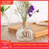 Vaso de Abóbora Criativo Vaso Transparente Simples Moderno Estilo Europeu Pequeno Fresco Decoração de Mesa Garrafa de Vidro Decorativa