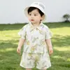 Conjunto de shorts de manga corta para niños, estilo fino de verano, nuevo conjunto casual de gasa de verano para niños y niñas, conjunto de dos piezas de camiseta para bebé