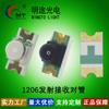 Transmisor y Receptor de Cabeza de Bola Infrarroja 1206 Par de Tubos Lámpara LED, Especial para Lámpara Sensor de Diodo Fotosensible