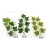 Nuevo Set de 7 Piezas de Hoja de Batata Estampada de Seda Imitación de Temu para Decoración del Hogar DIY Colgante de Pared de Planta de Hoja de Batata Accesorios de Liana