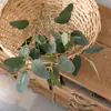 Yunhe Eucalipto Flores Artificiais Atacado Decoração de Casamento Artesanato Estilo Ins Plantas Verdes Transfronteiriças Fabricante Flores Artificiais