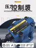 Válvula de alívio operada hidraulicamente Rexroth DB10-1-50B/315 200 DB20 DB30 válvula reguladora de pressão 31.5