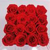 Caixa de Presente Quadrada Rosa Flor Eterna Transfronteiriça Acabada Amazon Balde de Abraço com Flores Secas Presente Dia das Mães Dia dos Namorados