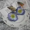 Cabezas de Amapola, Flores Artificiales, Accesorios para el Cabello DIY, Pasadores, Guirnaldas de Flores, Accesorios para Ropa, Flores Artificiales Falsas, Venta al por Mayor Transfronteriza
