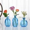 Estilo Escandinavo Creativo Jarrón de Vidrio Hogar Sala de Estar Mesa de Café Adornos Decorativos Arreglo Floral Jarrón Seco Botella de Vidrio Colorida