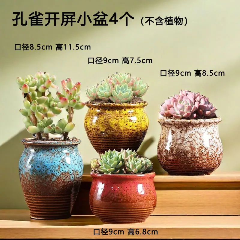 T-113孔雀开屏小盆4个