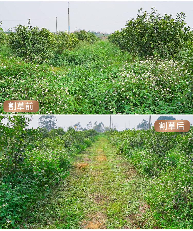 遥控割草机模板10.jpg