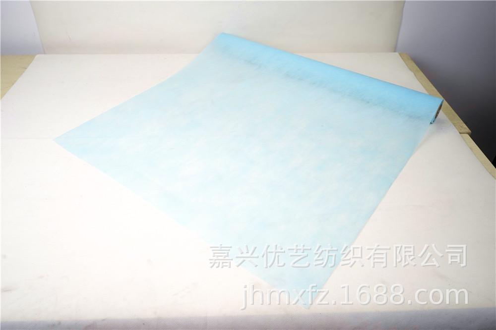 DSC03237