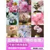 Una generación de flores de plántulas de cerezo japonés en maceta, bonsái miniatura enano, plantas verdes para interior y exterior, floración en las cuatro estaciones