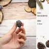 Piña de Fruta Seca Bellota Semilla Especimen Planta Decorativa Fruta Flor Seca Hecha a Mano Material para DIY