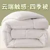 Colcha Temu para quatro estações escovada transfronteiriça, colcha de primavera e outono, colcha de inverno espessa de algodão e seda, colcha para dormitório de estudante, enchimento de colcha para hotel e pousada