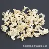 Pensador Louco Fruta de Acácia Branqueada Acácia de Folha Grande Materiais Artesanais DIY Velas de Aromaterapia Porta-Retratos Flores Secas Frutas