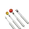 Herramienta descorazonadora de dátiles rojos de acero inoxidable para uso doméstico, herramienta multifuncional para quitar las semillas de dátiles, dátiles lácteos y espino, herramienta de cocina para quitar y pelar los huesos de los dátiles