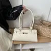 Bolso de axila minimalista y chic estilo coreano para mujer, nuevo bolso de mano de moda tendencia 2026, bolso de hombro, adecuado para el trabajo y los desplazamientos, bolso cuadrado pequeño