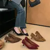Zapatos de Mujer de Nuevo Estilo Otoño e Invierno 2025 con Tacón Medio-Bajo, Elegantes y a la Moda Estilo Europeo y Americano, Zapatos de Salón de Gamuza con Punta Fina y Tacón Bajo
