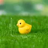 Micro-Paisagem de Musgo Criativa Fofa Pequenos Animais Sapo Pato Amarelo Pequeno Decorações de Estatuetas Miniatura Mini Enfeites