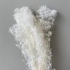 Proveedor de Flores Fábrica de Yunnan Flores para Boda 50g Gypsophila Million Star Ramo de Flores Secas Venta al por Mayor Arte de Flores Eternas
