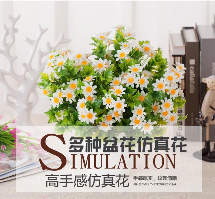 详情1.jpg