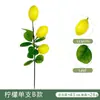 Decoração de Parede Vinha de Limão Plantas Verdes Densas Trepadeiras de Parede Arranjo de Atmosfera Flores Artificiais Loja de Frutas Enfeites Pendurados