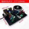 Placa Amplificadora de Subwoofer Activo para Uso Doméstico 220V Placa Amplificadora de Subwoofer para Uso Doméstico Graves Potentes Graves Puros Amplificador