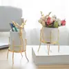 Estilo Escandinavo Criativo Cervo de Ferro Dourado Vaso de Flores Cerâmico Porta-Canetas Armazenamento Musgo Decorativo Arranjo Floral