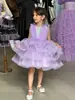 Vestido de Menina Vestido de Princesa Meninas 2025 Inverno Vestido de Bolo de Tule Natal Transfronteiriço Europeu e Americano