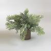 Combinação de venda imperdível da Amazon transfronteiriça Simulação de planta em vaso estilo nórdico mobiliário doméstico Desktop Mini Planta Verde Bonsai