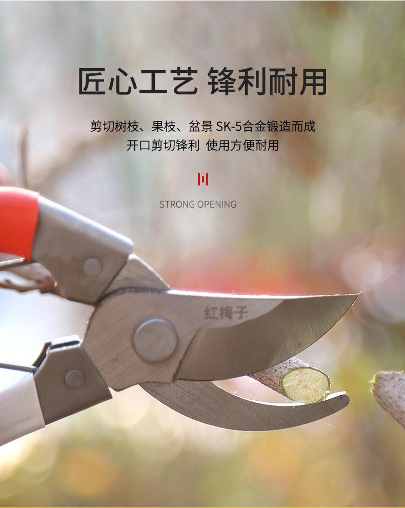 详情-05.jpg
