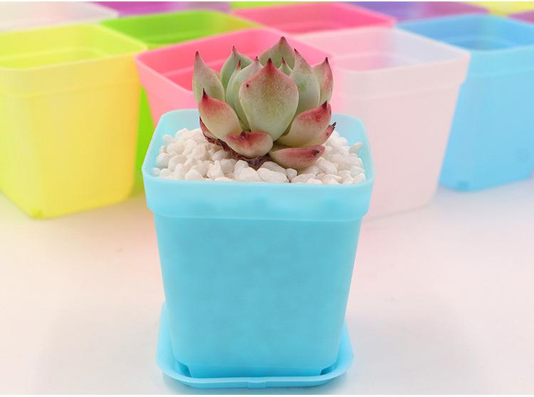 七彩小花盆详细7