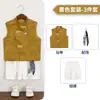 Conjunto de Chaleco con Cuello Mao Estilo Chino Nuevo para Niños y Pantalones de Pierna Ancha Bebé Estilo Diario Delgado Estilo Nacional Fotografía de Salida Sinología Ropa Formal