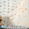 Seleção Premium de Papel Pera com Estampagem Dourada Metálica, Papel Bouquet, Papel Pera para Bolo Transmitido ao Vivo, Papel Pera Estrela de Cinco Pontas, Venda Direta do Fabricante