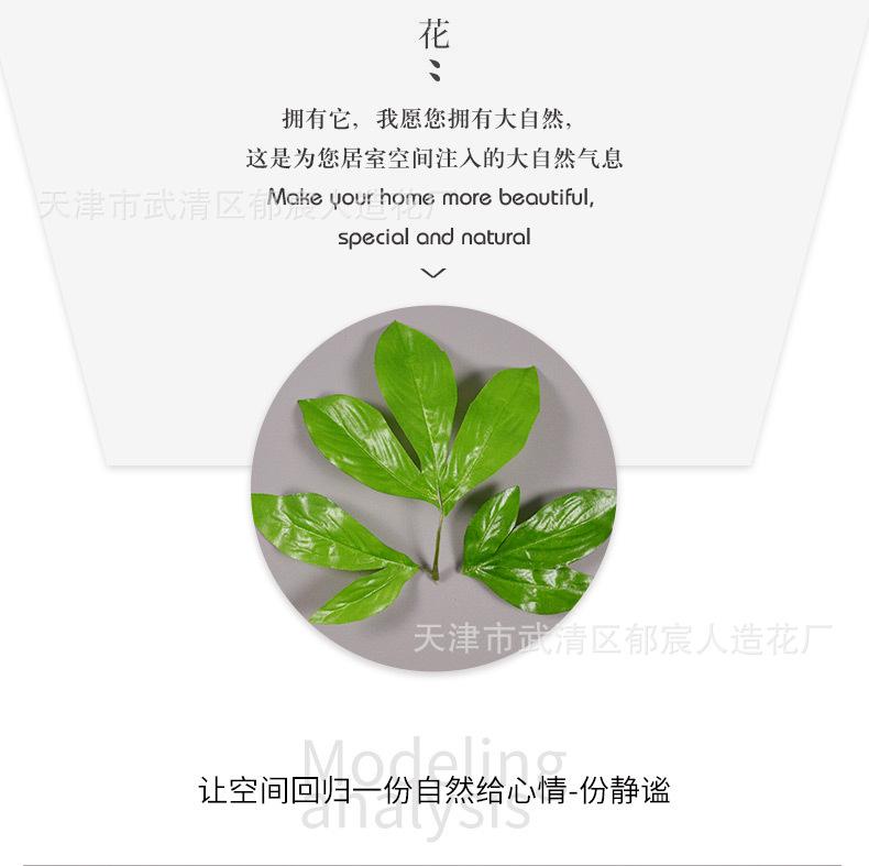 详情_07.jpg