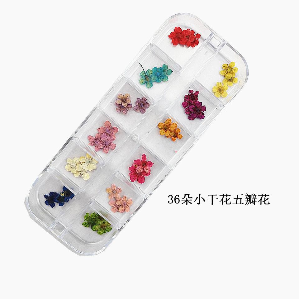 36朵小干花