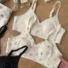 [Processamento Personalizado] Sutiã de Algodão Doce Estilo Francês Ultra-Fino com Orelhas de Coelho Sem Aro para Busto Grande Parecer Menor