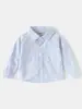 Camisa para Niños al por Mayor Camisa de Manga Larga de Tela Oxford para Niños 2026 Otoño Nuevas Llegadas Camisa de Bebé Moderna Dropshipping