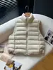 Chaleco de Canalé Nuevo Otoño e Invierno 90 Chaqueta de Plumón de Pato Blanco 2025 Chaleco de Cuello Alto Ropa Exterior Cálida Acolchada Chaleco Engrosado
