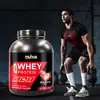 Suministro Exclusivo Transfronterizo de Amazon de Proteína Sabor Fresa Polvo de Proteína de Suero en Stock 2 Libras