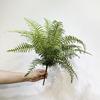 En existencia, simulación de falso sistema Mori, patio, balcón, planta de pared, flor, ranura, decoración, helecho persa, helecho, helecho, helecho, aleta de helecho, paquete de hojas, planta en maceta