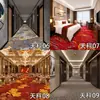 Alfombra comercial alfombra de hotel completa área grande pasillo completo pasillo salón de banquetes habitación de huésped especial otro