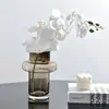 Jarrón de Vidrio Transparente Retro Francés para Té, Cultivo de Plantas Verdes y Flores, Hidropónico, Redondo, Recto, Ilustración, Juego de Flores