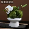 Nuevo Arte Floral de Simulación China Mesa de Centro para Sala de Estar Entrada