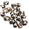 Profundo a través de dientes de tigre Tianzhu Lutong jade cuentas sueltas cuentas de barril de ágata marrón accesorios de joyería Lezi cuentas hechas a mano