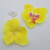 Cabeza de flor de Phalaenopsis de 10 cm de diámetro, decoración del hogar, flor de boda, planta de pared, flor falsa, flor seca para boda.