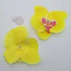 Diámetro 10cm Cabeza de Flor Phalaenopsis Decoración del Hogar Boda Flor de Pared Planta Simulada Flor Artificial Seca Boda Flor de Ramo