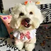 Collar de Encaje para Mascotas, Lindo Collar Decorativo para Gatos y Perros, Accesorios de Pajarita de Encaje para Perros Pequeños y Medianos, Popular en Línea