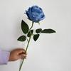 Rosa dos sonhos de galho único, rosa dos sonhos de cabeça única, rosa acácia, rosa concubina, salão de casamento enfeitado com flores decorativas, comércio exterior