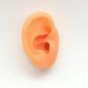 Modelo de orelha de silicone para simulação, fone de ouvido para ensino de limpeza de ouvido, suporte de exibição de aparelho auditivo, modelo para prática de acupuntura, exibição de joias