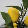 Simulación Fruta Limón Rama Verde Árbol Fruta Simple Fresco Decoración Sala de Estar Restaurante Props Toma Suave Fruta Falsa
