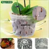 Vaso de Flor Gota de Chuva Transparente Oco Coluna de Ar Plantio de Orquídea Phalaenopsis Vaso de Flor de Plástico Suspenso Nova Matéria-Prima de PP